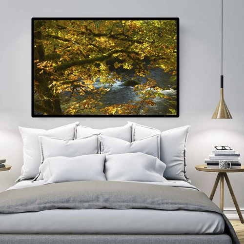 500px Autumn Foliage Home Decor Print.jpg