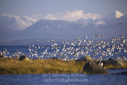  f/5.6, ISO 800, 1/500 s 