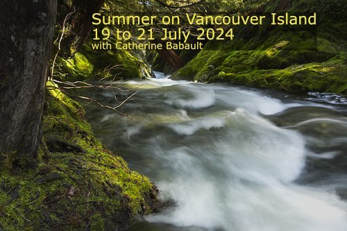 _ABN2890a+Summer+Workshop+2024.jpg