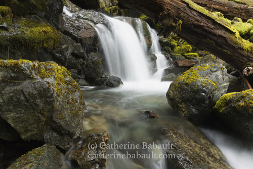  f/11, ISO 100, 1 sec 