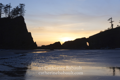 Olympic Peninsula, WA, USA 