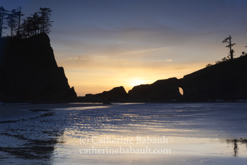 Olympic Peninsula, WA, USA