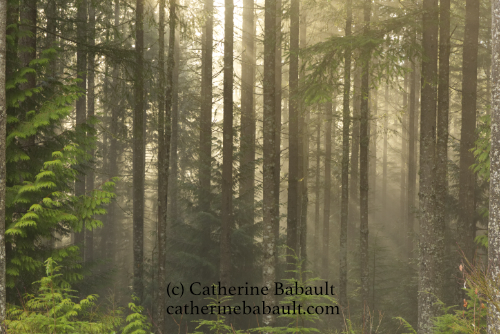  f/9, ISO 800, 1/30 s 