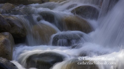  Vancouver Island Photo Tours and Workshops: Spring on Vancouver Island, May 26 to 28 2023 