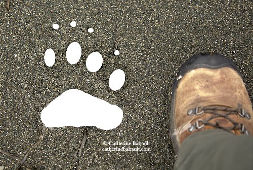 Partial print of front foot