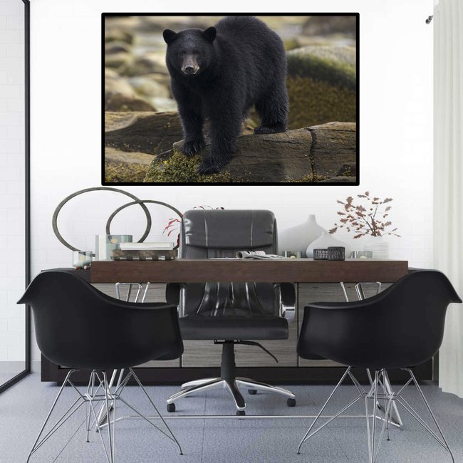 Coastal Black Bear Home Decor Print template 8.jpg