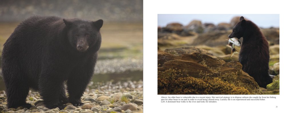 Nature Photography Book Wild Vancouver Island