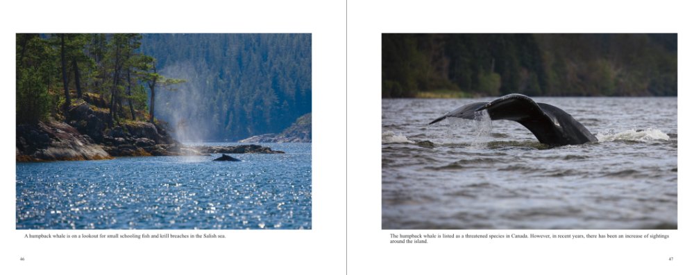 Nature Photography Book Wild Vancouver Island