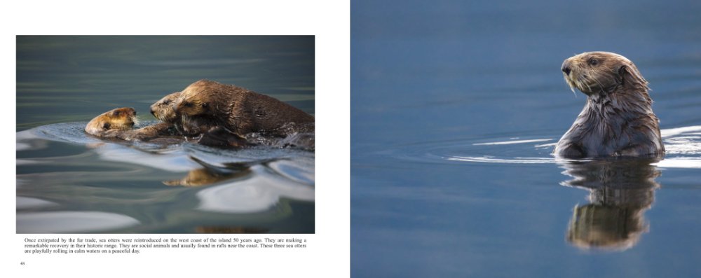 Nature Photography Book Wild Vancouver Island