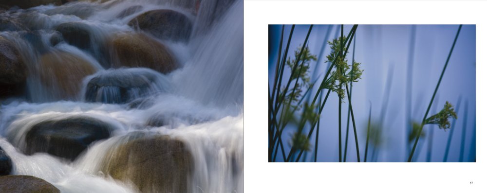 Nature Photography Book Wild Vancouver Island