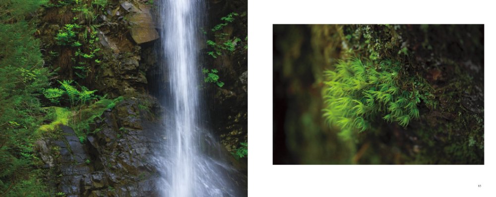 Nature Photography Book Wild Vancouver Island